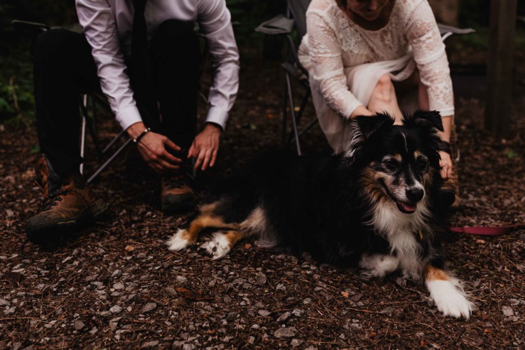 Dog camping during adventure elopement at GSMNP